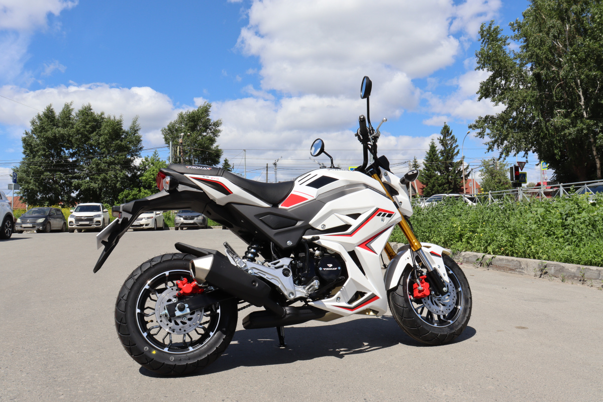 Мотоцикл PROMAX STRYKER 200(49) 2.0 в Комсомольске-на-Амуре