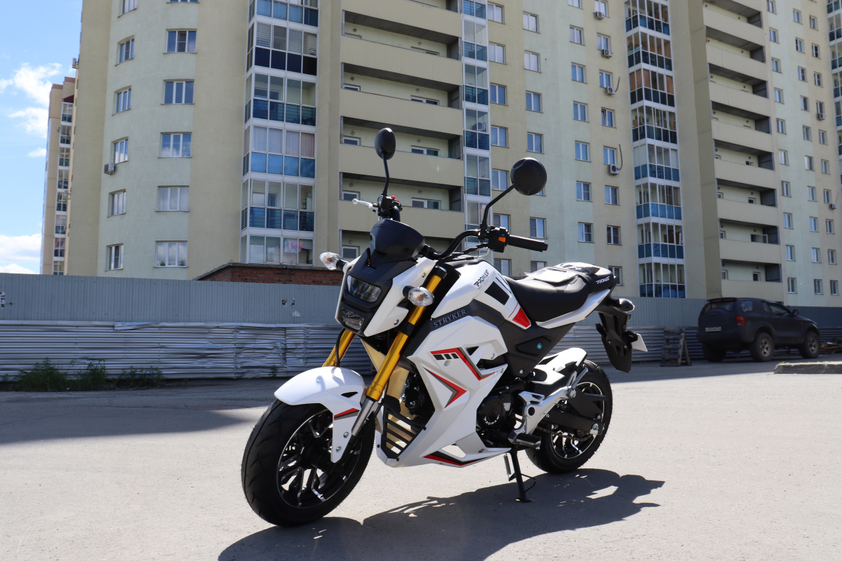 Мотоцикл PROMAX STRYKER 200(49) 2.0 в Комсомольске-на-Амуре