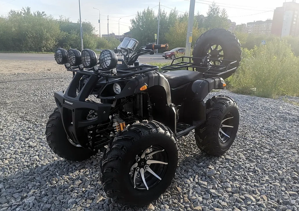 Квадроцикл PROMAX LEO 300 Max (кардан) в Комсомольске-на-Амуре