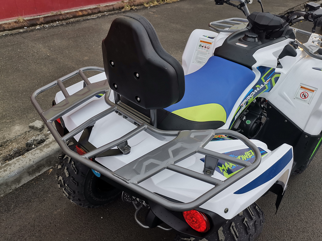Квадроцикл PROMAX RENEGADE 280 LUX (2025) в Комсомольске-на-Амуре