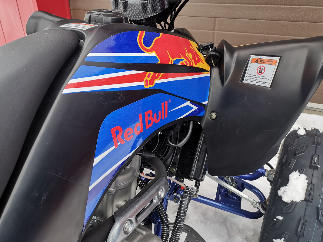 Квадроцикл PROMAX RAPTOR 300 NEW RedBull в Комсомольске-на-Амуре
