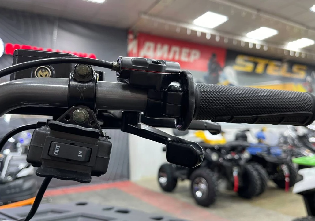 Квадроцикл PROMAX RENEGADE 300 LONG WINCH PRO (2025) в Комсомольске-на-Амуре