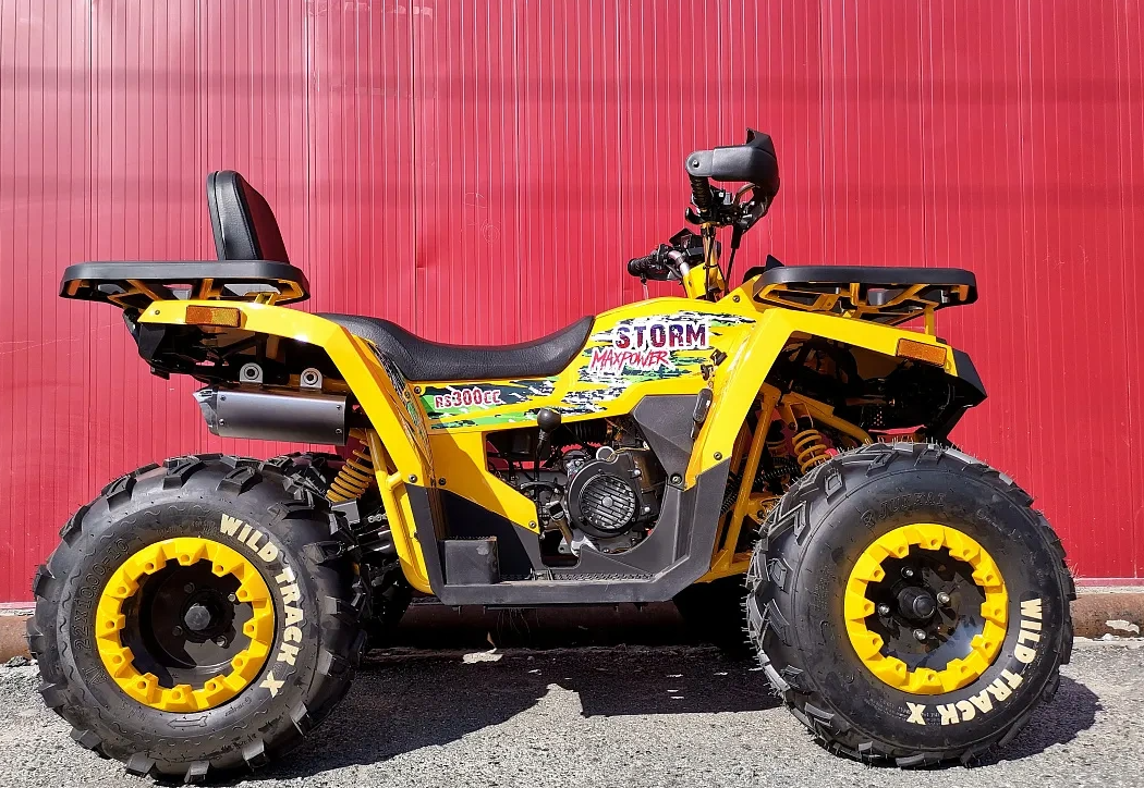 Квадроцикл PROMAX STORM 280 LUX в Комсомольске-на-Амуре