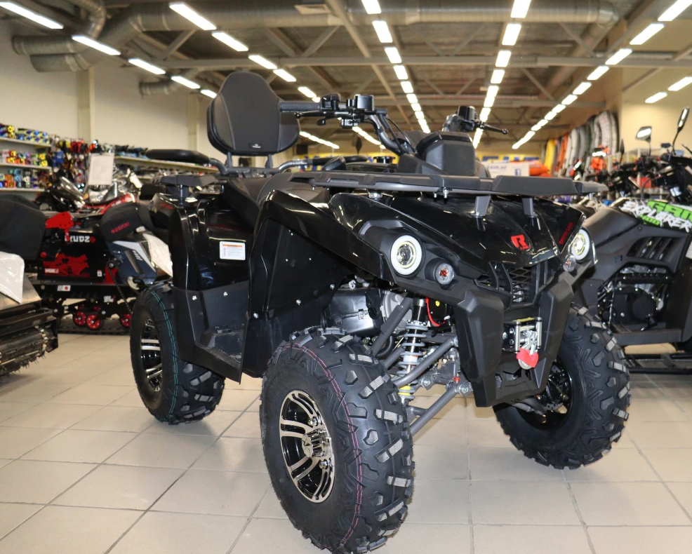 Квадроцикл PROMAX RENEGADE 300 LONG WINCH PRO (2025) в Комсомольске-на-Амуре