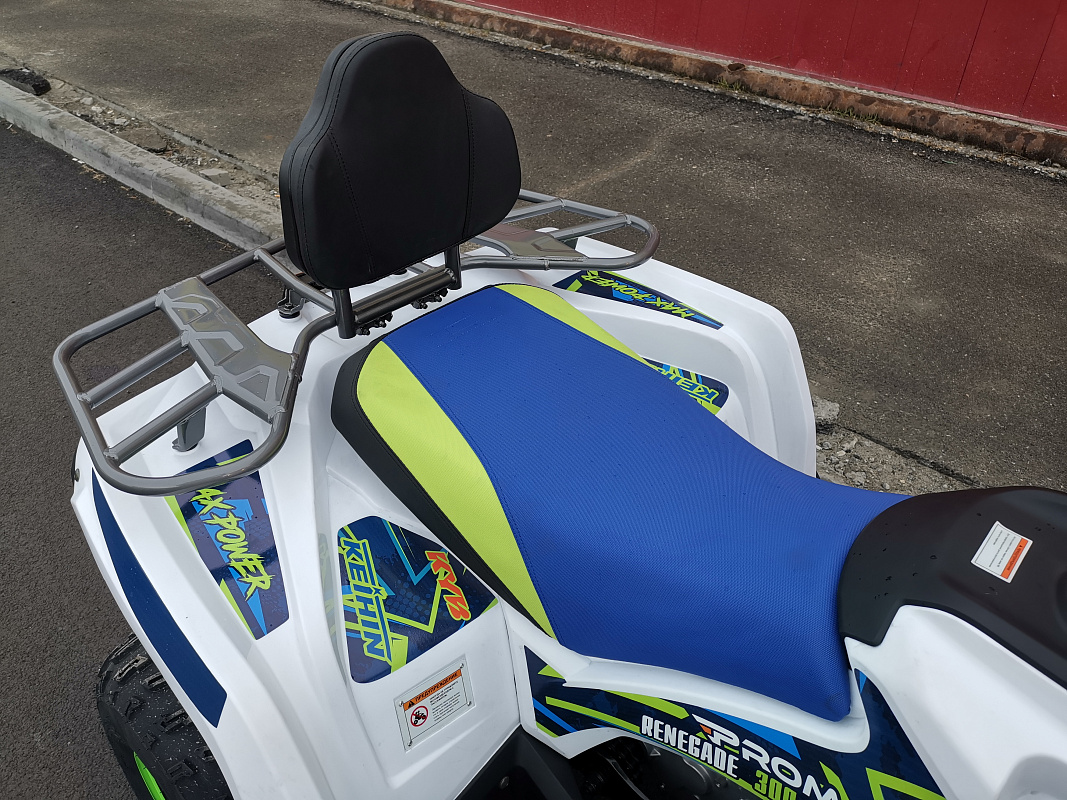 Квадроцикл PROMAX RENEGADE 280 LUX (2025) в Комсомольске-на-Амуре