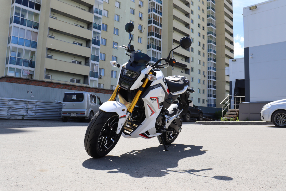 Мотоцикл PROMAX STRYKER 200(49) 2.0 в Комсомольске-на-Амуре