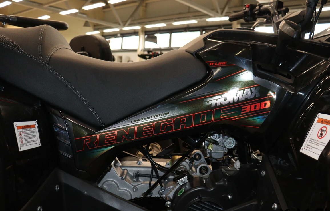 Квадроцикл PROMAX RENEGADE 300 LONG WINCH PRO (2025) в Комсомольске-на-Амуре