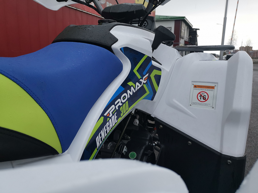 Квадроцикл PROMAX RENEGADE 280 LUX (2025) в Комсомольске-на-Амуре