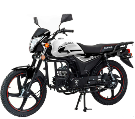 Мопед MOTOLAND (МОТОЛЕНД) Альфа RS 11 (LM48-B) в Комсомольске-на-Амуре Мопед MOTOLAND (МОТОЛЕНД) Альфа RS 11 (LM48-B) в Комсомольске-на-Амуре
