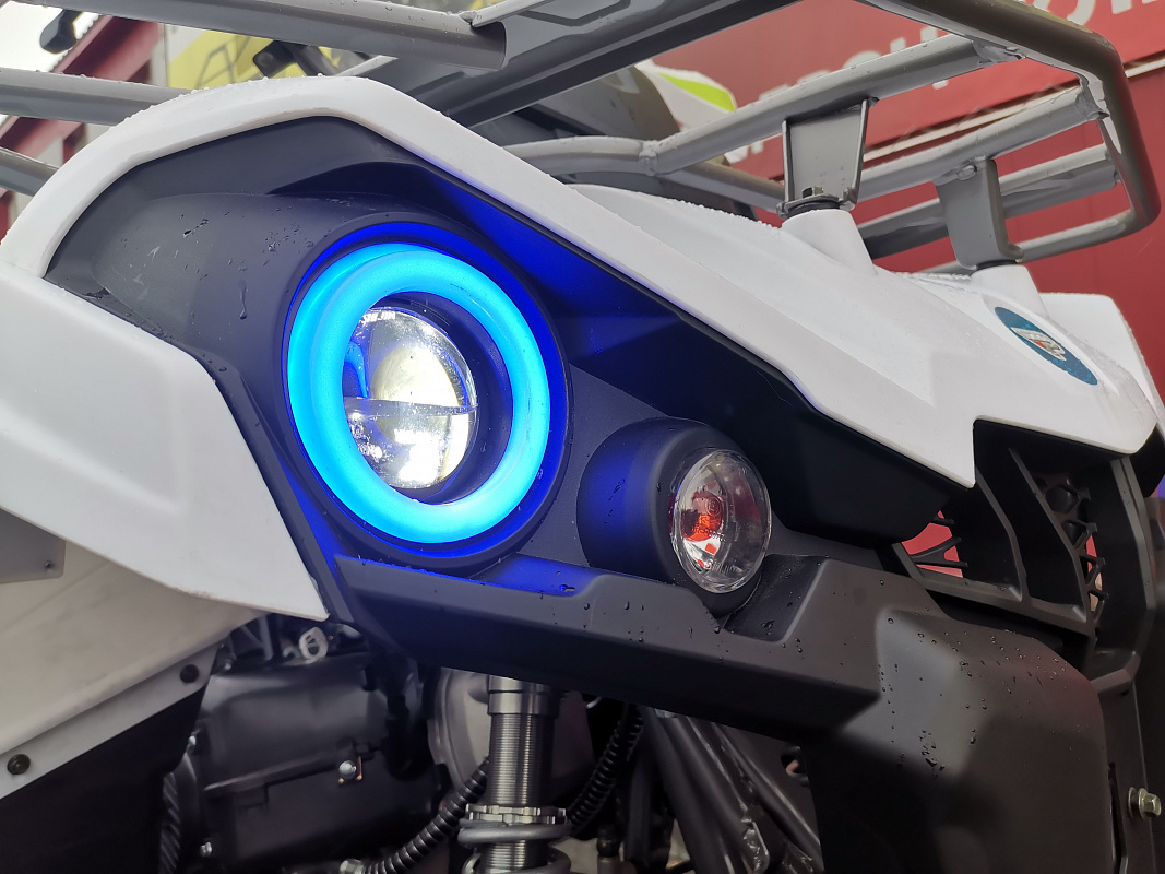 Квадроцикл PROMAX RENEGADE 280 LUX (2025) в Комсомольске-на-Амуре