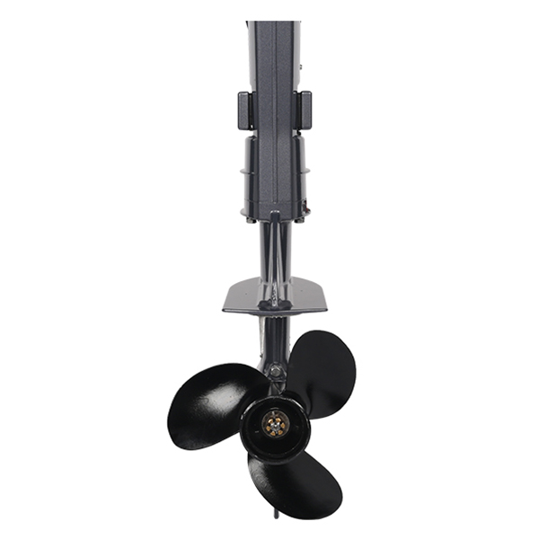 ЛОДОЧНЫЙ МОТОР ALLFA CG T5 в Комсомольске-на-Амуре