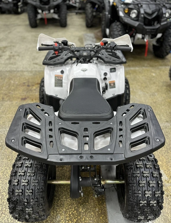 Квадроцикл PROMAX WILD 2.0 190 в Комсомольске-на-Амуре