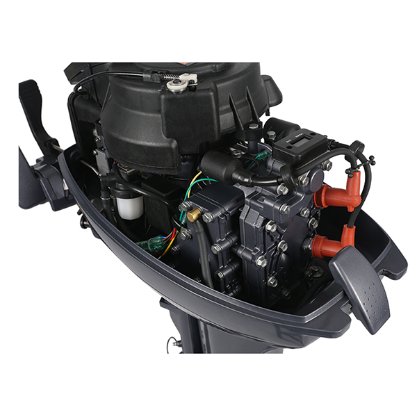 ЛОДОЧНЫЙ МОТОР ALLFA CG Т9,9 Limit в Комсомольске-на-Амуре