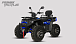 Квадроцикл PROMAX TAURUS 300 MAX-PRO LONG в Комсомольске-на-Амуре