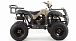 Квадроцикл MOTOLAND (МОТОЛЕНД) 200 ALL ROAD в Комсомольске-на-Амуре