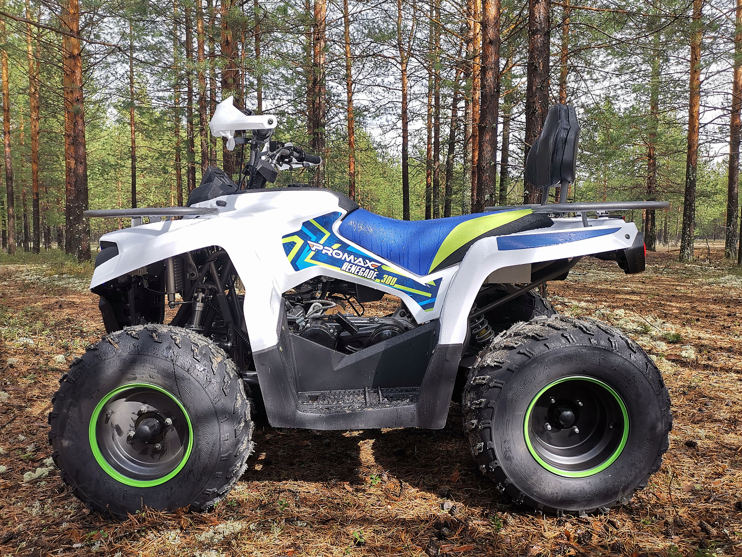 Квадроцикл PROMAX RENEGADE 280 (2025) в Комсомольске-на-Амуре