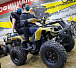 Квадроцикл PROMAX ATV 250 (2025) в Комсомольске-на-Амуре