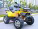 Квадроцикл MOTOLAND (МОТОЛЕНД) VOX200 WILD TRACK X PRO (баланс. вал) в Комсомольске-на-Амуре