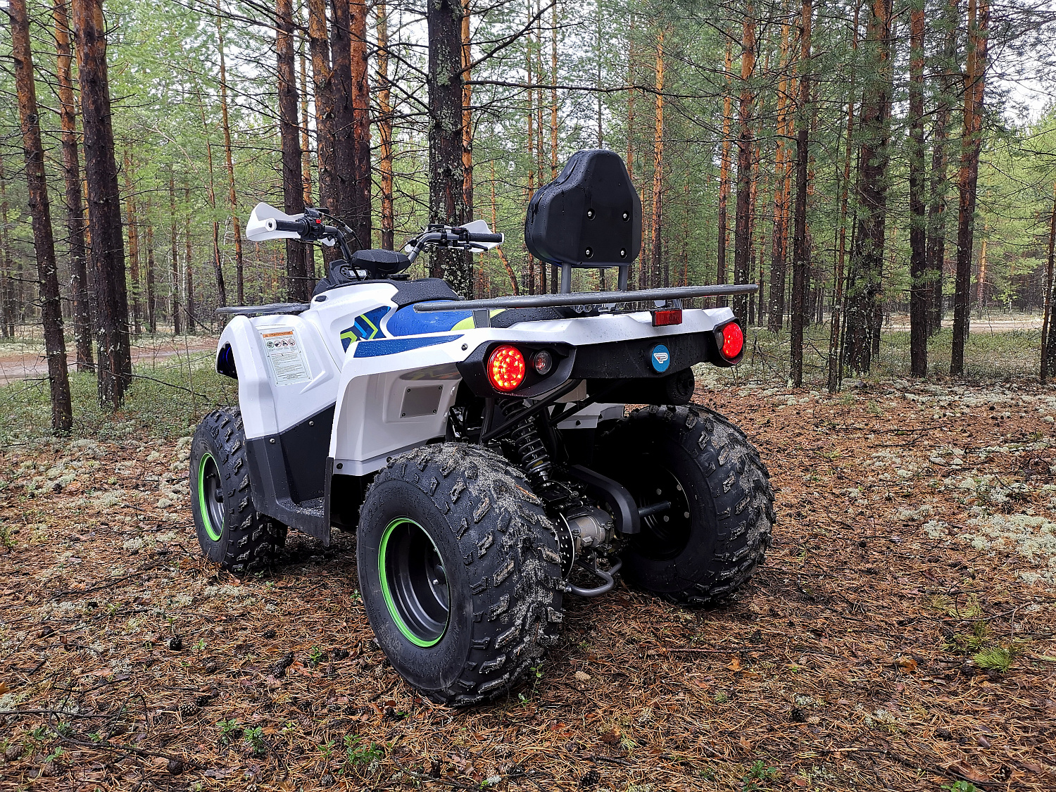 Квадроцикл PROMAX RENEGADE 280 (2025) в Комсомольске-на-Амуре