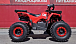 Квадроцикл PROMAX WILD 175 BASIC в Комсомольске-на-Амуре