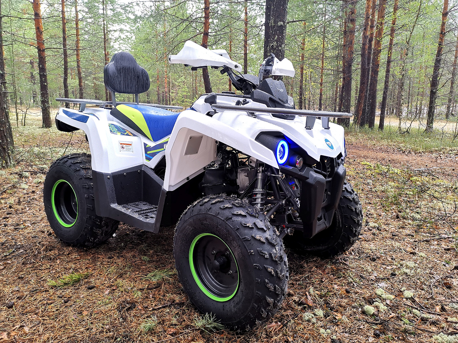 Квадроцикл PROMAX RENEGADE 280 (2025) в Комсомольске-на-Амуре