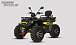 Квадроцикл PROMAX TAURUS 300 MAX-PRO LONG в Комсомольске-на-Амуре